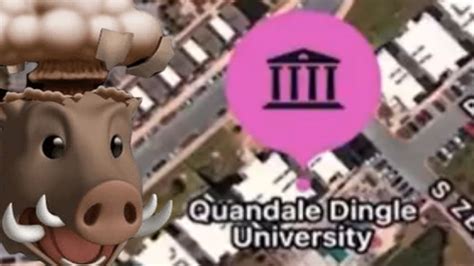 Quandale dingle university. Things To Know About Quandale dingle university. 